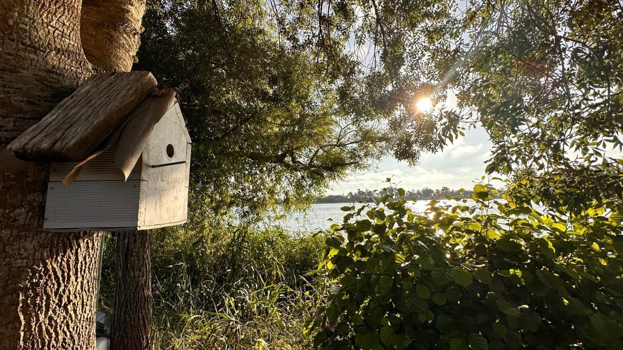 Casa Do Areal, Refugio Das Rotas Pedestres Em Mira Mira  Zewnętrze zdjęcie